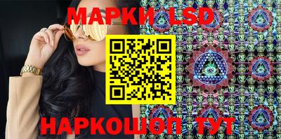 гидропоника Сланцы