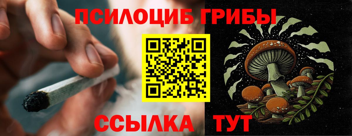 магазин  наркотиков  Галлюциногенные грибы GOLDEN TEACHER  Вход с VPN  Подольск 